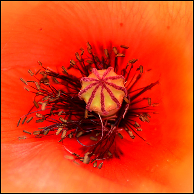 20160928180537_red2 20160928180537_red2