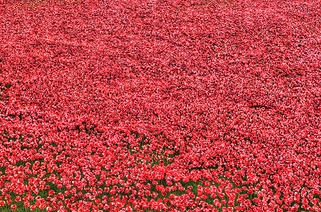 20160928202448_img_0077_8_9 20160928202448_img_0077_8_9