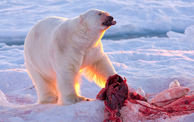 20160928222729_red_is_all_around_152 20160928222729_red_is_all_around_152