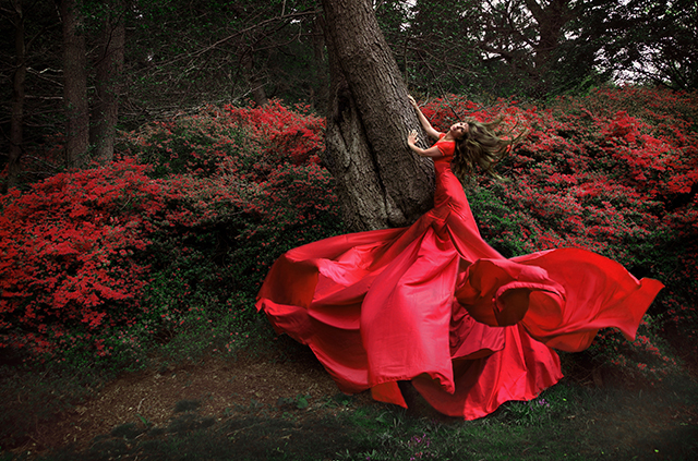 20160928120443_print__1200_c3_red 20160928120443_print__1200_c3_red