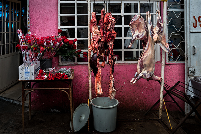 20160929000435_dsc_9201_editcc 20160929000435_dsc_9201_editcc