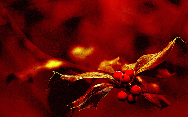 20160929000920_brin_de_houx 20160929000920_brin_de_houx