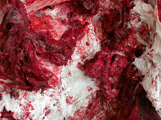 20160929100338_p1010516_4_3w 20160929100338_p1010516_4_3w