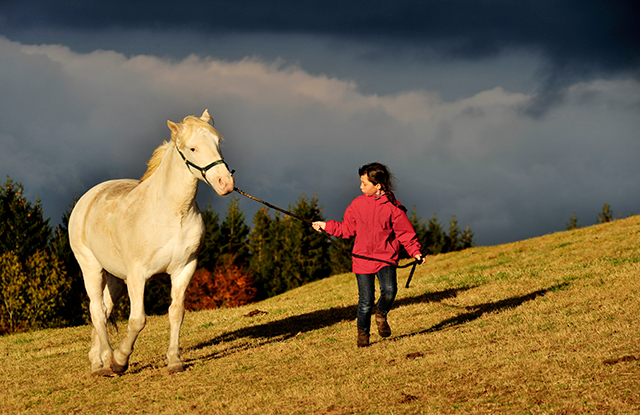 20160929140251_retour_a_l_ecurie 20160929140251_retour_a_l_ecurie
