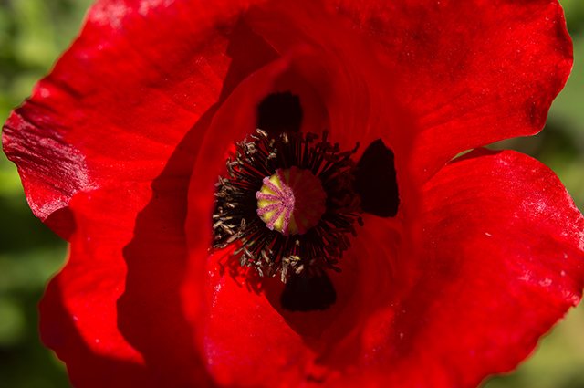 20160929141941_dsc_4860 20160929141941_dsc_4860