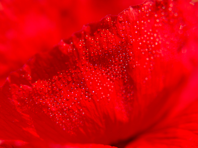 20160929142545_dsc_4871 20160929142545_dsc_4871