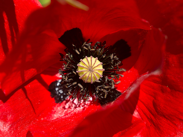 20160929142820_dsc_4850 20160929142820_dsc_4850