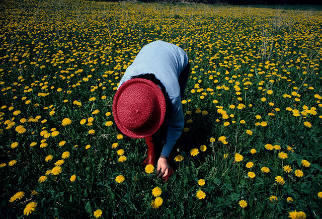 20160930040547_0007_2_2_2_2_copie 20160930040547_0007_2_2_2_2_copie