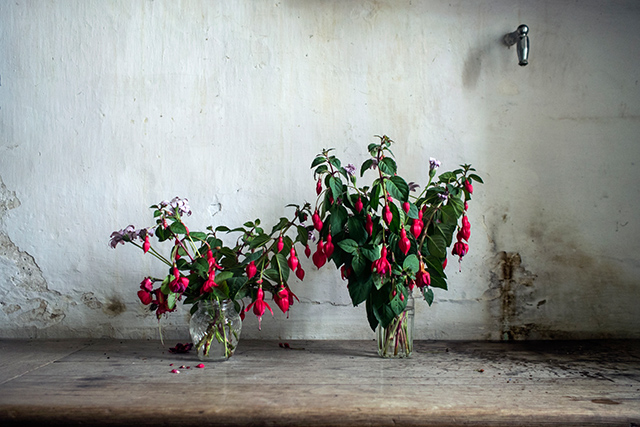 20160930130354_laetitiainsousciance_red 20160930130354_laetitiainsousciance_red