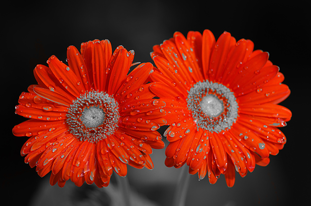 20160930152847_k5cf2183 20160930152847_k5cf2183