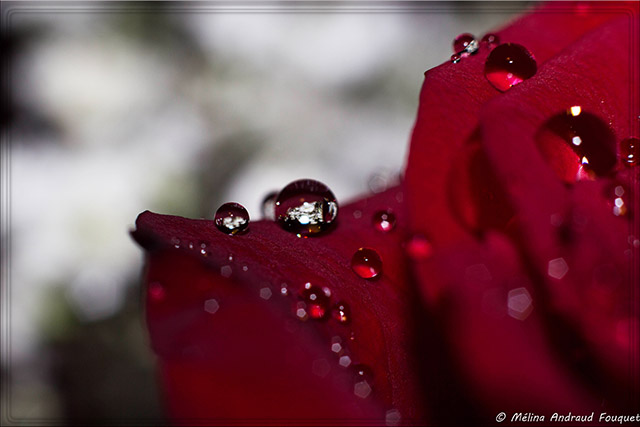 20160930205257_66,365 20160930205257_66,365