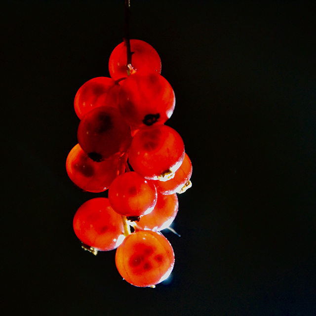 20161001151351_dsc_0072 20161001151351_dsc_0072