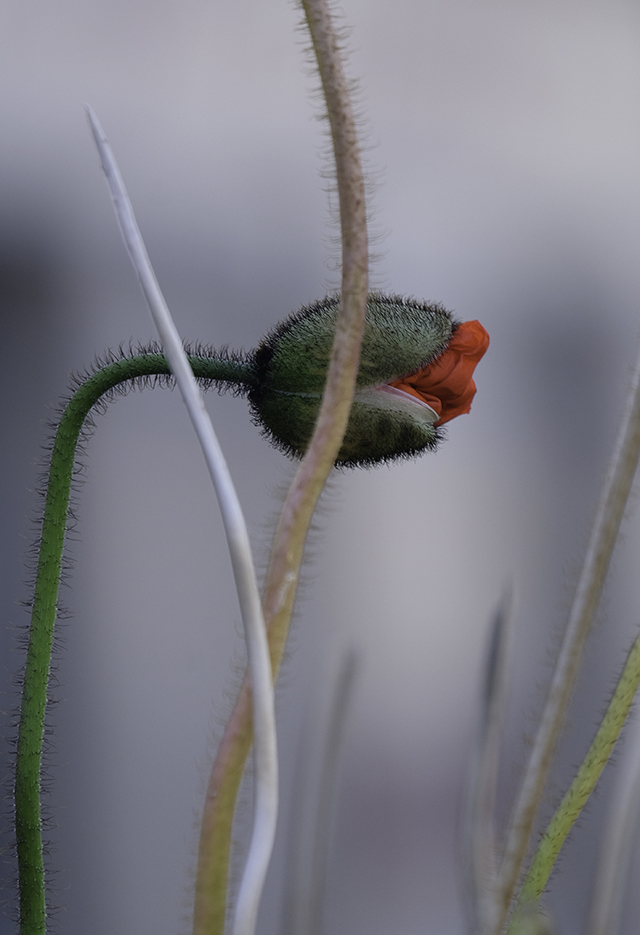 20161002105636_cr_2015_1926 20161002105636_cr_2015_1926