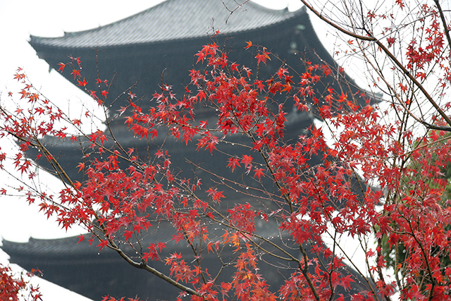 20161002181536_pagode_du_templevto_ji___kyoto