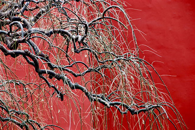 20161002182926_dsc_0196___copie 20161002182926_dsc_0196___copie