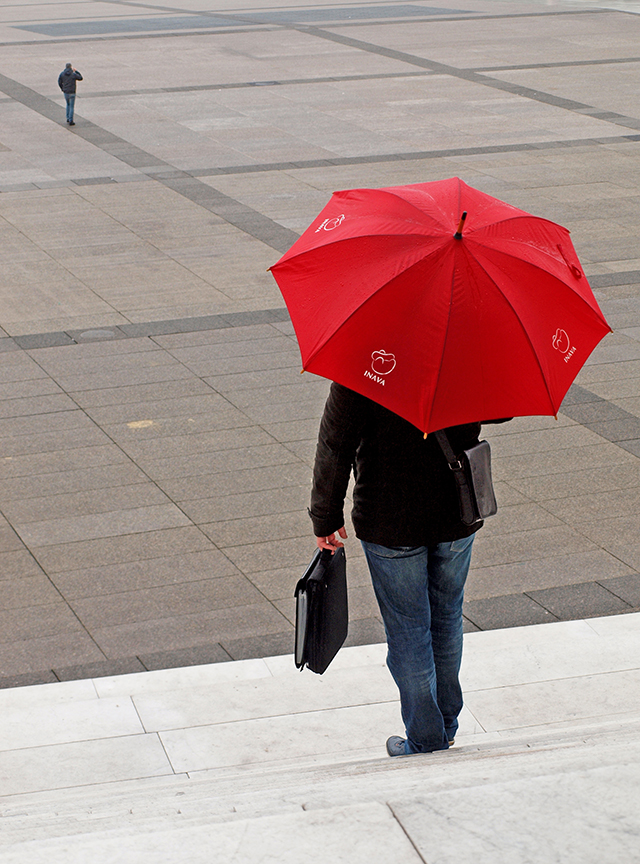 20161002183918_p3290310_r_20x27 20161002183918_p3290310_r_20x27