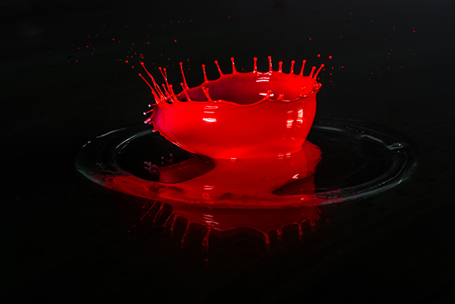 20160929205647_dsc_9941 20160929205647_dsc_9941