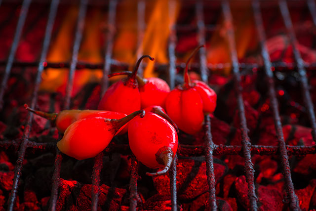 20160930005145_rouge 20160930005145_rouge