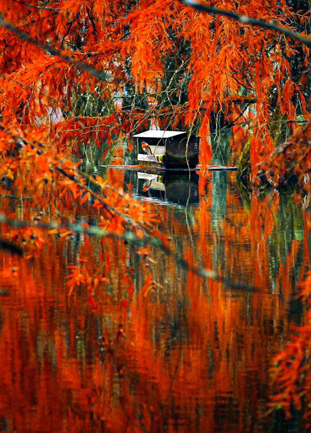 20160930101949_p1010849 20160930101949_p1010849