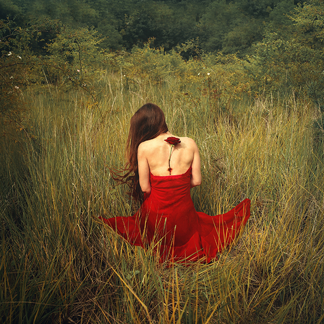 20160929084205_raphaelle_monvoisin__veins_of_earth_3000x3000 20160929084205_raphaelle_monvoisin__veins_of_earth_3000x3000