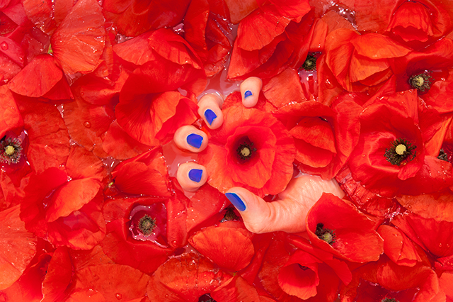 20161002153152_22062013__dav2210 20161002153152_22062013__dav2210