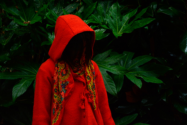 20161003114956_in_the_wood_0 20161003114956_in_the_wood_0