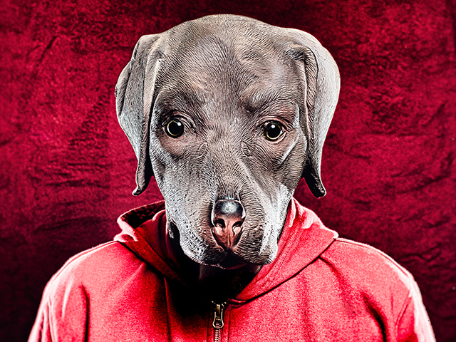 20161003160352_1__3 20161003160352_1__3