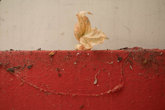 20161003212334_dscf3203 20161003212334_dscf3203