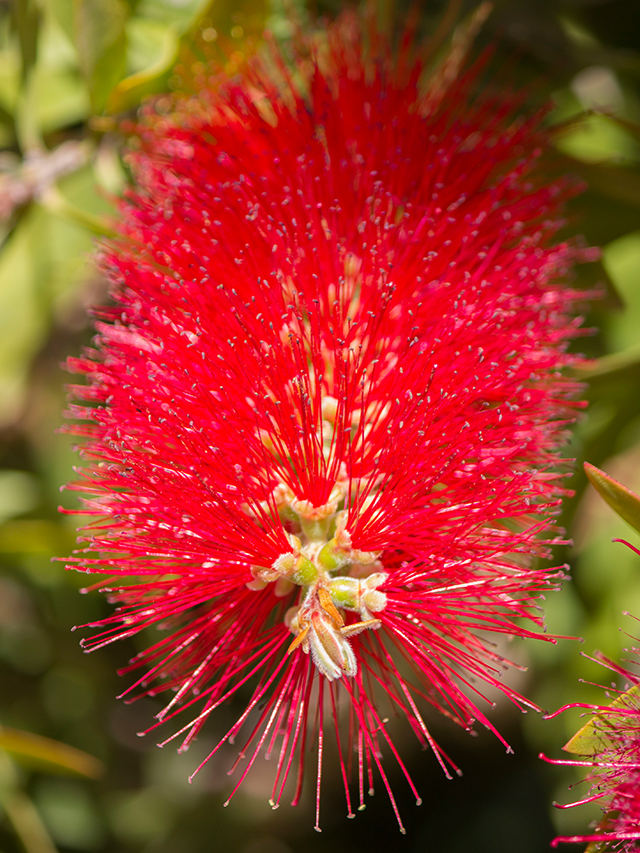 20161003212451_murielle_rouillion_ 20161003212451_murielle_rouillion_