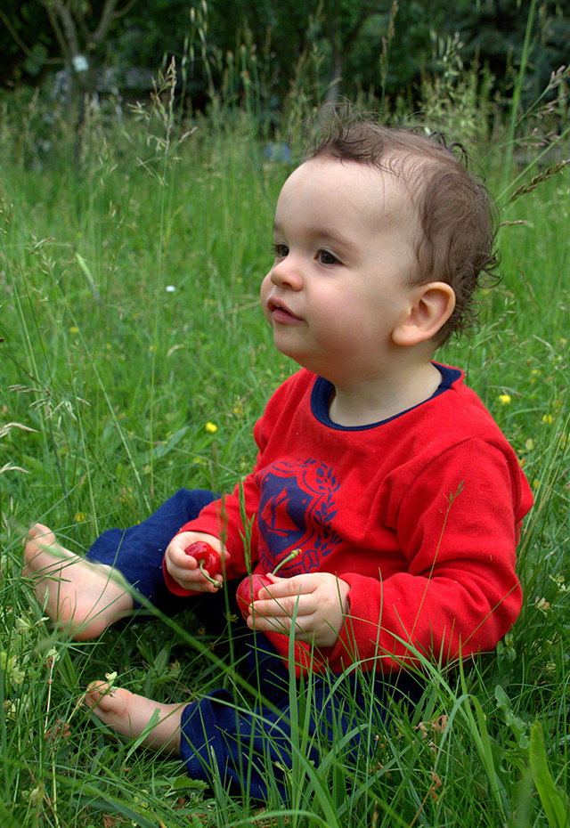 20161004000253_img_1117_cr2 20161004000253_img_1117_cr2