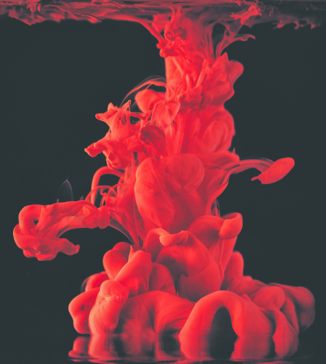 20161004100627_img_8113_modifier_2_modifier_modifier 20161004100627_img_8113_modifier_2_modifier_modifier