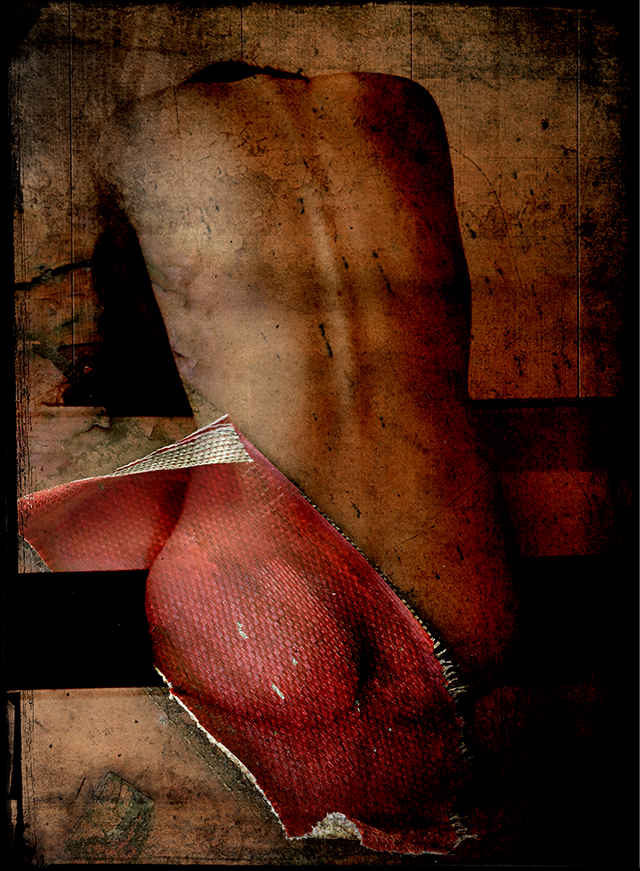 20161004185506_s_robin_1 20161004185506_s_robin_1