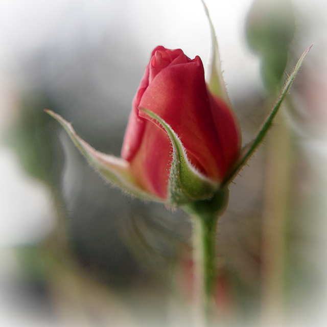 20161004200058_imgp5665bv 20161004200058_imgp5665bv