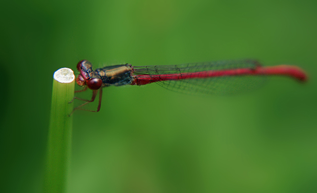 20161004201312_imgp8899 20161004201312_imgp8899