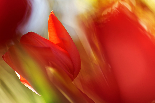 20161003204055_dsc03052 20161003204055_dsc03052