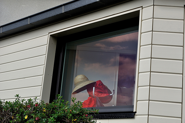 20161003204820_dsc_4447 20161003204820_dsc_4447