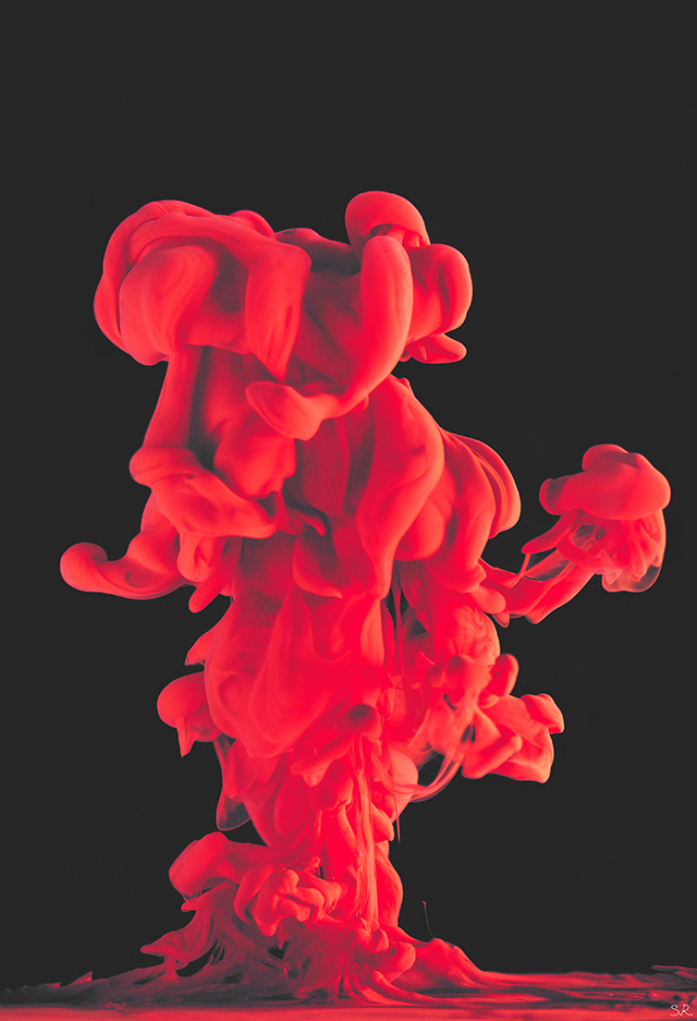 20161004100135_img_8109_modifier_3_modifier_modifier 20161004100135_img_8109_modifier_3_modifier_modifier