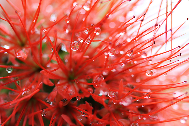 20161004163503_2012__309_ 20161004163503_2012__309_