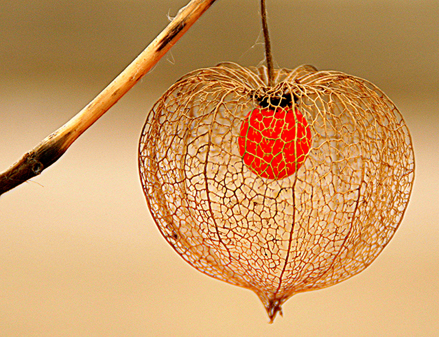 20161003235309_img_5962 20161003235309_img_5962