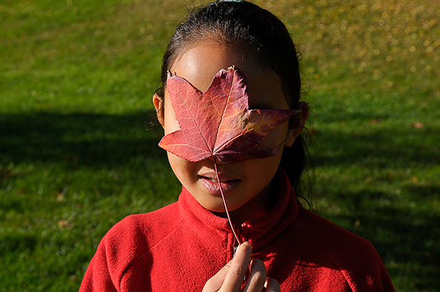 20161004155809_30oct2009_8399 20161004155809_30oct2009_8399