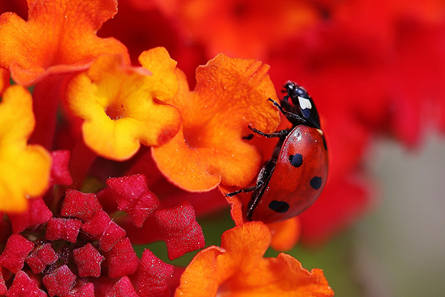 20161004163802_2014__28_ 20161004163802_2014__28_