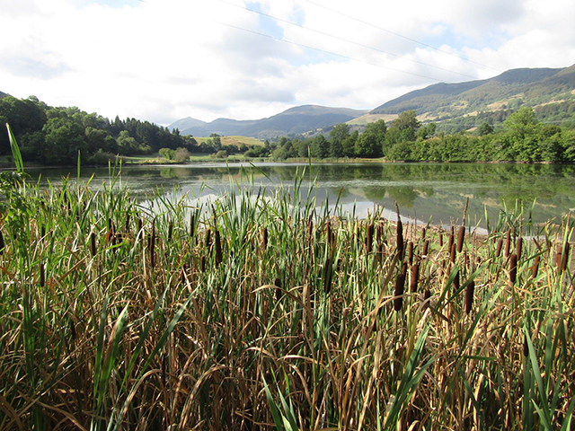 20161005135137_20160921103611_img_0200 20161005135137_20160921103611_img_0200