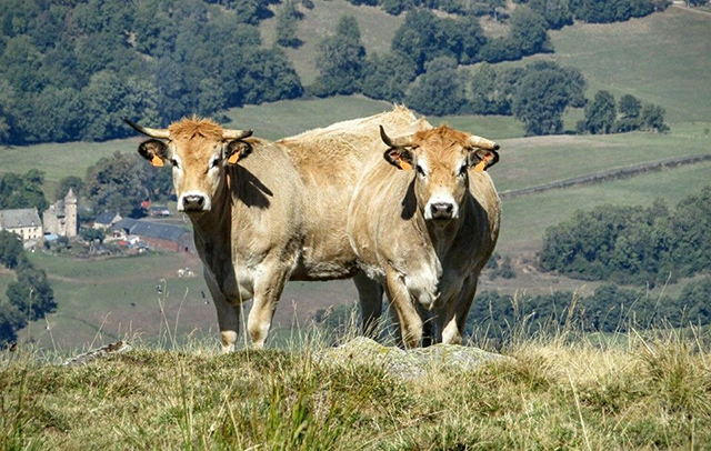 20161005135707_14449012_1151395388255449_308418916387452299_n 20161005135707_14449012_1151395388255449_308418916387452299_n