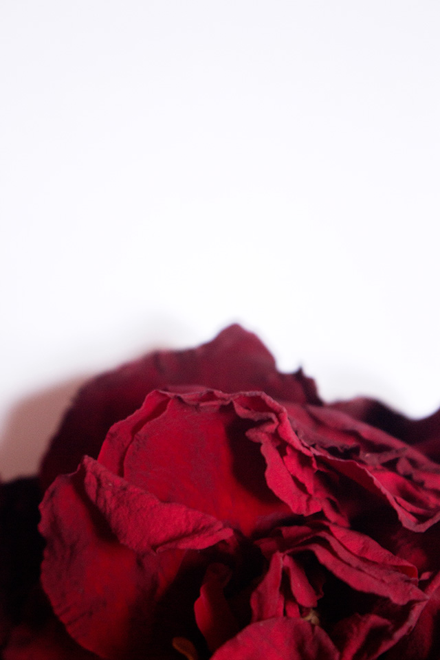 20161005164720_vague_de_rouge_elise_richard_01 20161005164720_vague_de_rouge_elise_richard_01