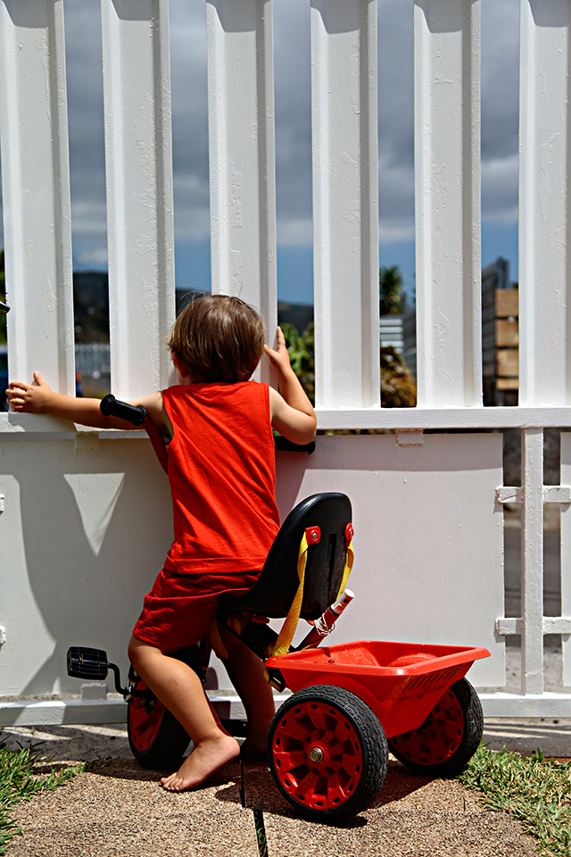 20161005170143_freedom 20161005170143_freedom