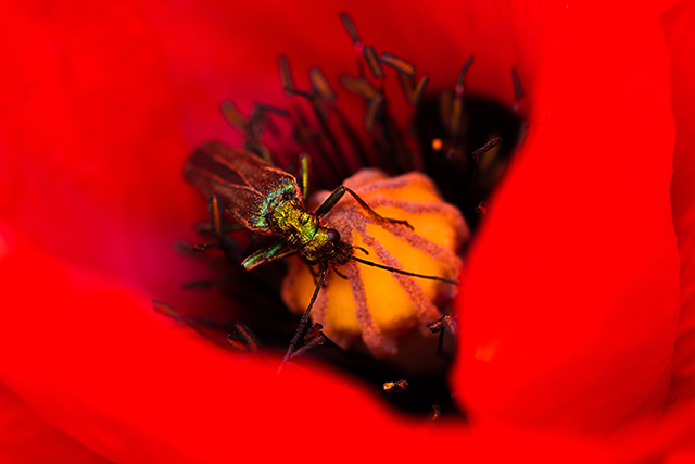 20161005235919_2016_05_25_dsc_4269_modifier_filtered 20161005235919_2016_05_25_dsc_4269_modifier_filtered