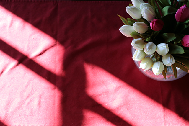 20161006060651_img_0636 20161006060651_img_0636