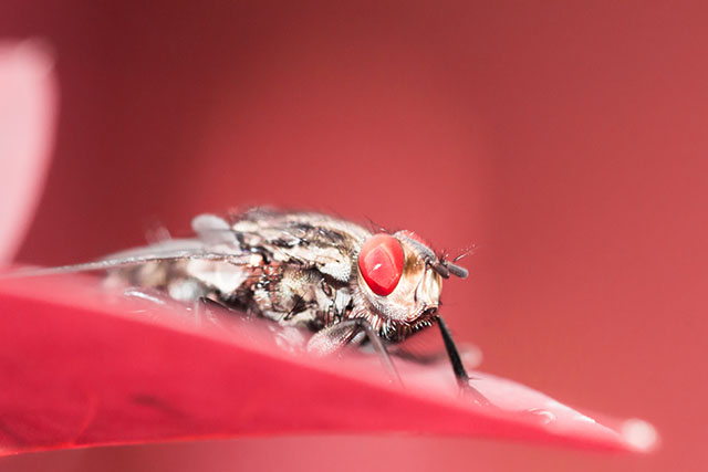 20161006223622_img_0097 20161006223622_img_0097