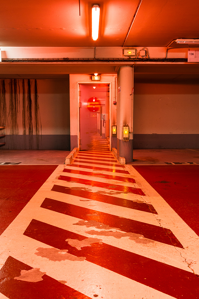 20161008100418__mg_1331 20161008100418__mg_1331