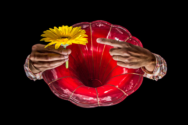 20161009075612_flower_power 20161009075612_flower_power